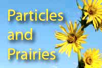 Particles and Prairies